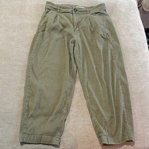 Everlane Olive Chinos